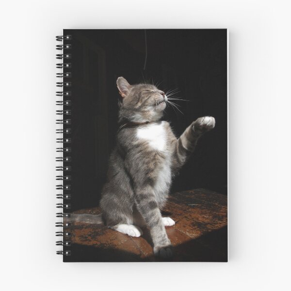 Item preview, Aloof cat designed and sold by turniptowers.