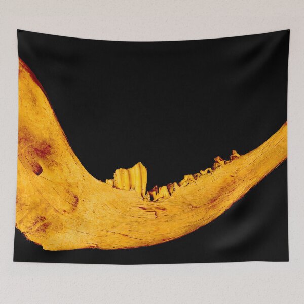 Item preview, Cow Jaw Bone and Teeth designed and sold by Geoff Treagus.