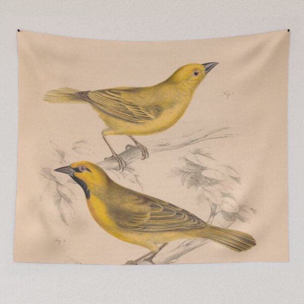 Item preview, American Goldfinch designed and sold by AllPerfect.
