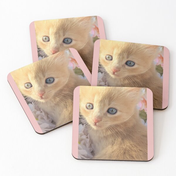 Item preview, Ginger ragdoll mainecoon baby cat designed and sold by Fluffycat2020.
