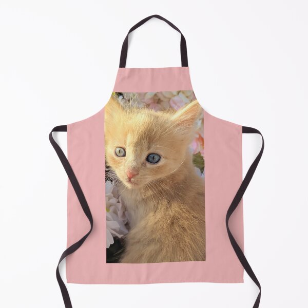 Item preview, Ginger ragdoll mainecoon baby cat designed and sold by Fluffycat2020.