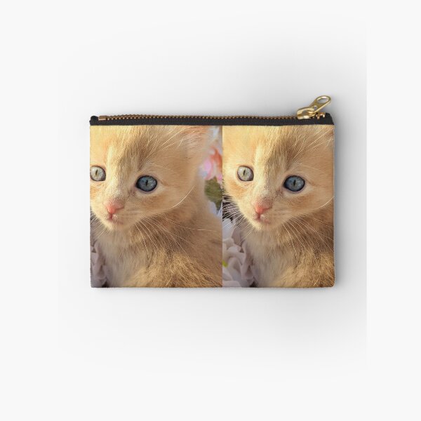 Item preview, Ginger ragdoll mainecoon baby cat designed and sold by Fluffycat2020.
