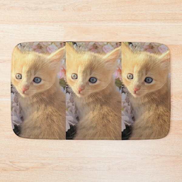 Item preview, Ginger ragdoll mainecoon baby cat designed and sold by Fluffycat2020.