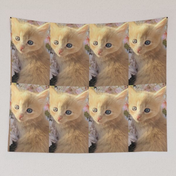 Item preview, Ginger ragdoll mainecoon baby cat designed and sold by Fluffycat2020.