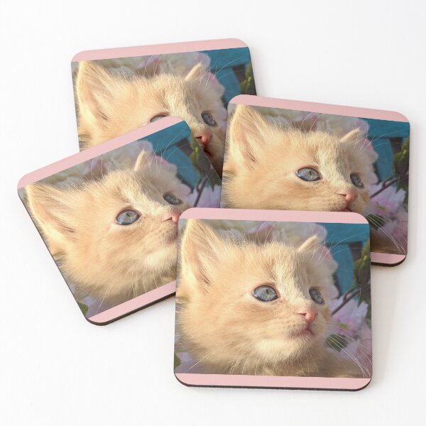 Item preview, Ginger ragdoll mainecoon baby cat designed and sold by Fluffycat2020.