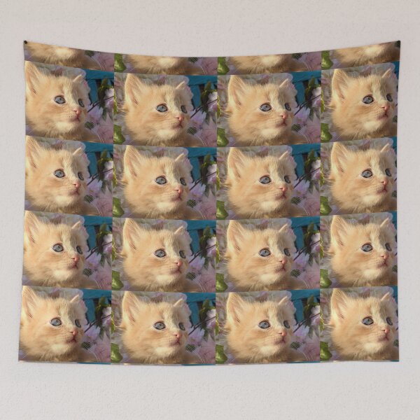 Item preview, Ginger ragdoll mainecoon baby cat designed and sold by Fluffycat2020.