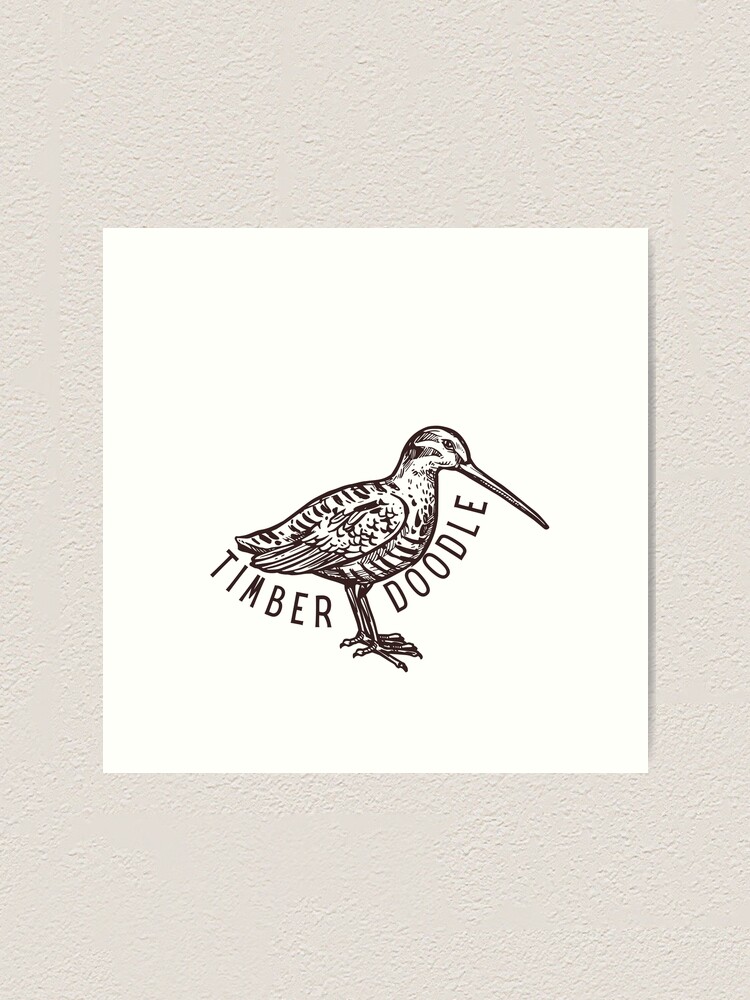 Snipe Signed Print, Bird Drawing, Wildlife Animal Art, Wild Bird