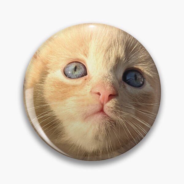 Item preview, Ginger ragdoll mainecoon baby cat designed and sold by Fluffycat2020.