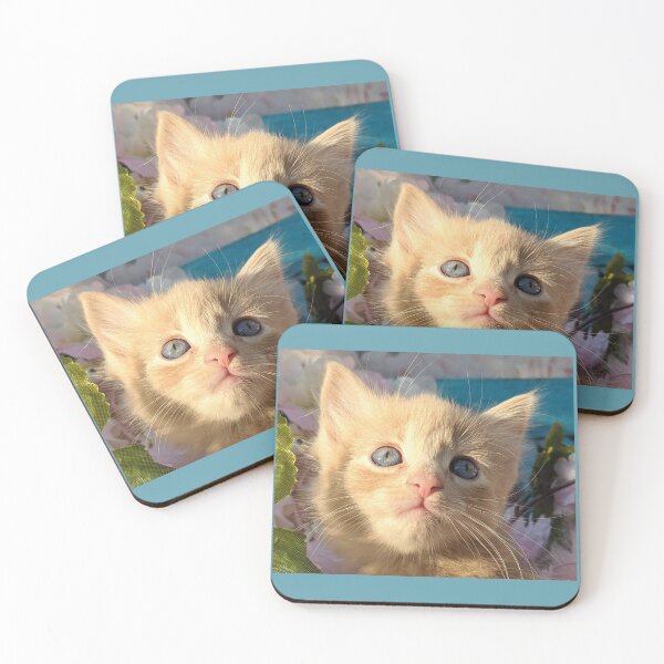 Item preview, Ginger ragdoll mainecoon baby cat designed and sold by Fluffycat2020.