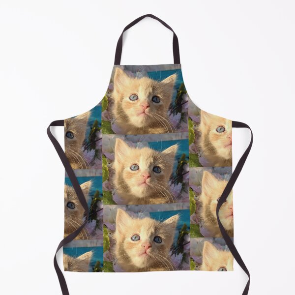 Item preview, Ginger ragdoll mainecoon baby cat designed and sold by Fluffycat2020.