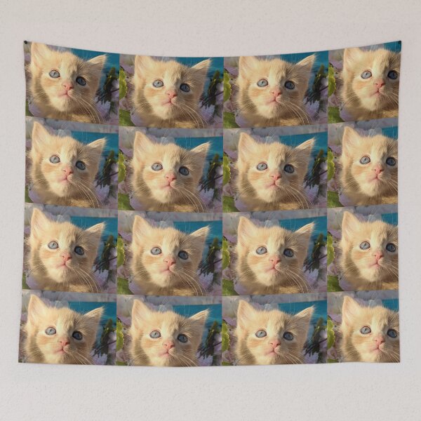 Item preview, Ginger ragdoll mainecoon baby cat designed and sold by Fluffycat2020.