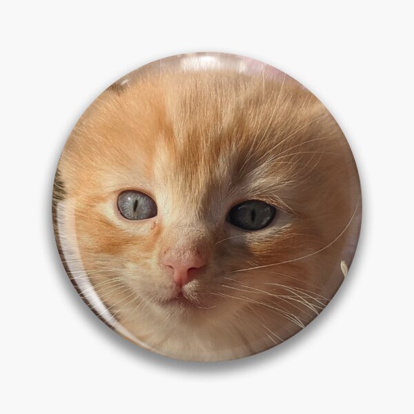 Item preview, Ginger ragdoll mainecoon baby cat designed and sold by Fluffycat2020.