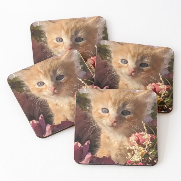 Item preview, Ginger ragdoll mainecoon baby cat designed and sold by Fluffycat2020.