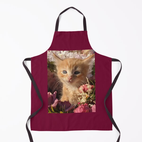 Item preview, Ginger ragdoll mainecoon baby cat designed and sold by Fluffycat2020.