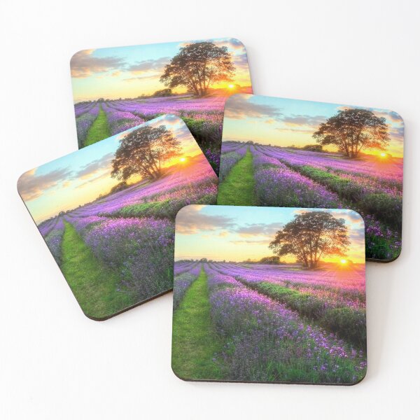 Artikelvorschau, Sonnenuntergang Wandkunst, Naturszene, Natur Sonnenuntergänge, Cottage Szene, Cottage Himmel, Metall Fotodrucke entworfen und verkauft von eyesight4vision.