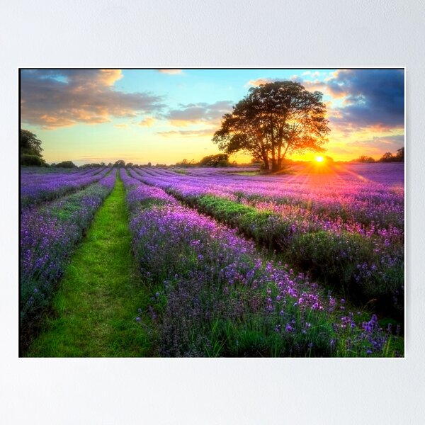 Item preview, sunset wall art,Nature scene,Nature sunsets,Cottage scene,cottage sky,metal photo prints designed and sold by eyesight4vision.