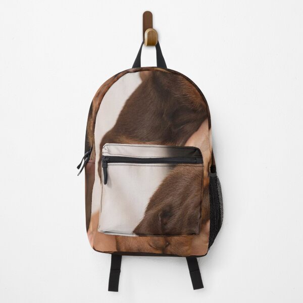 Item preview, Doberman puppy Brown / Tan designed and sold by DobermanFans.