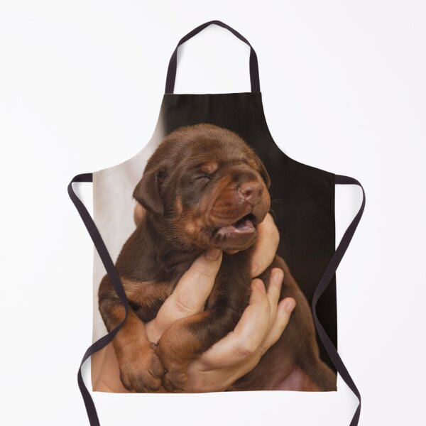 Item preview, Doberman puppy Brown / Tan designed and sold by DobermanFans.