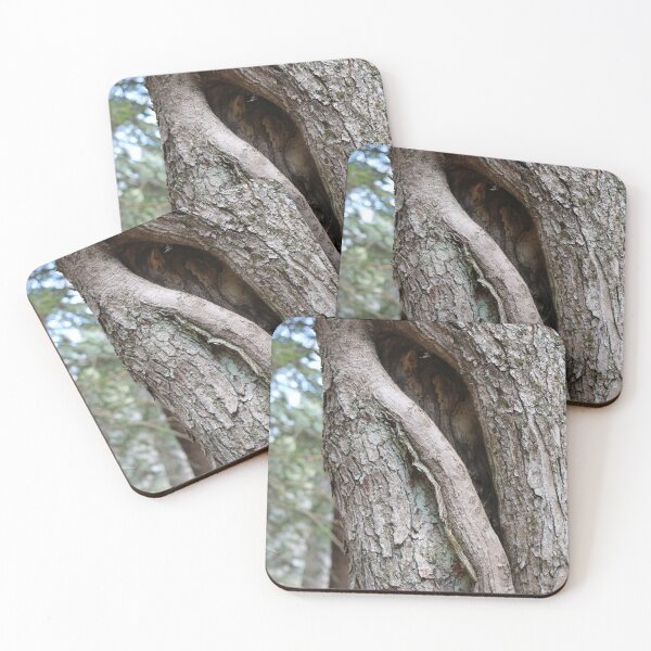 Item preview, Tree Notch designed and sold by Theophanes Avery.