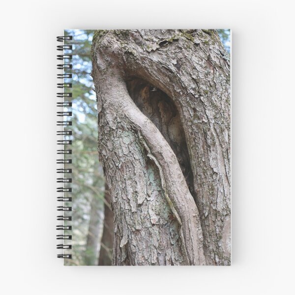 Item preview, Tree Notch designed and sold by Theophanes Avery.