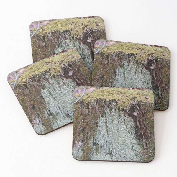 Item preview, Moss Covered Stump designed and sold by Theophanes Avery.