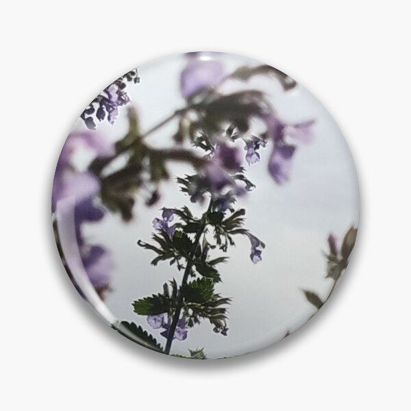 Item preview, Catmint Flowers in Morning Sunlight designed and sold by Rebecca Jane.