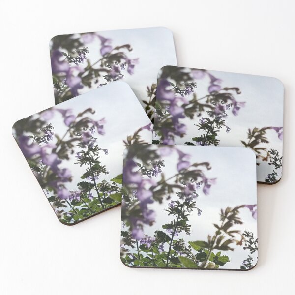 Item preview, Catmint Flowers in Morning Sunlight designed and sold by Rebecca Jane.