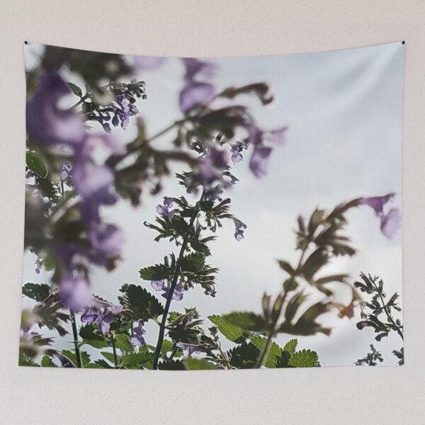 Item preview, Catmint Flowers in Morning Sunlight designed and sold by Rebecca Jane.
