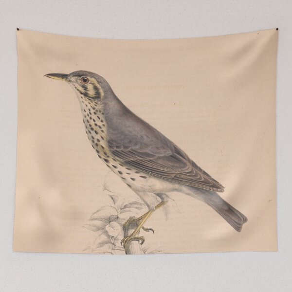 Item preview, Mourning Dove designed and sold by AllPerfect.