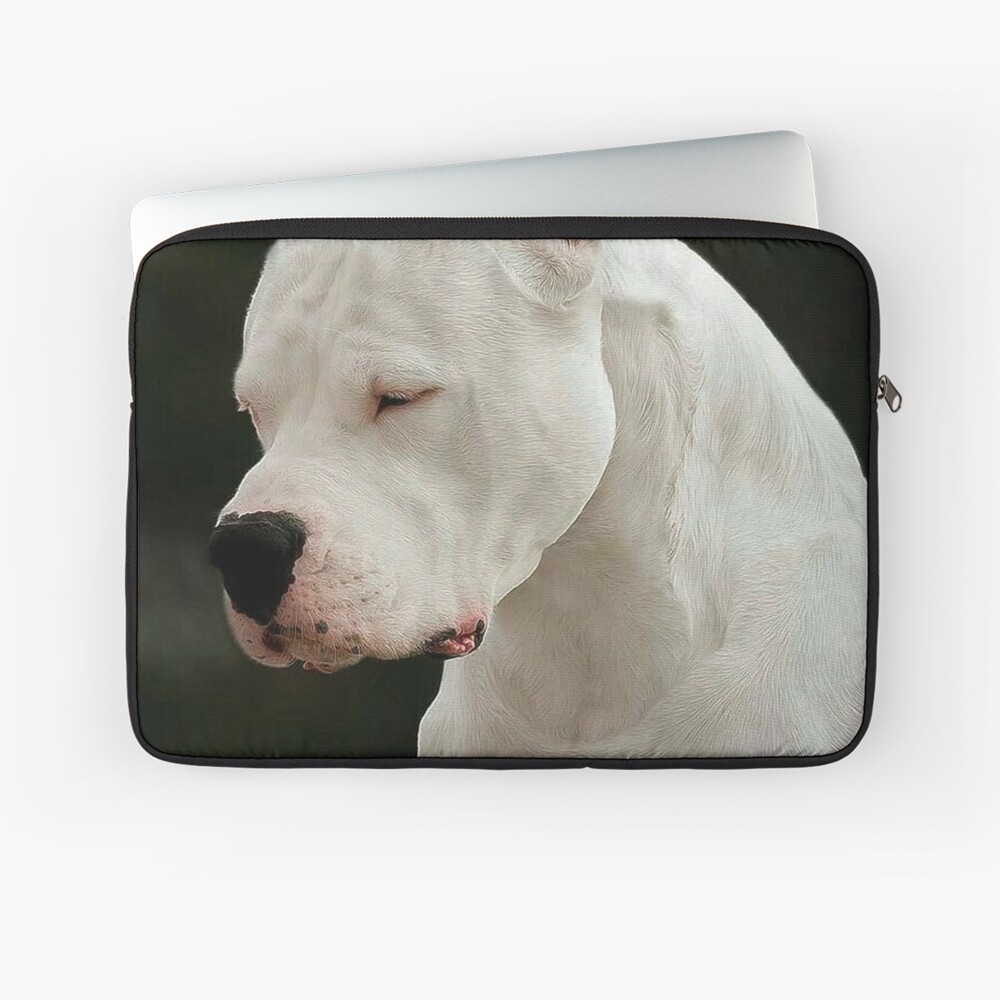 Dogo Argentino Canvas Print by DobermanFans