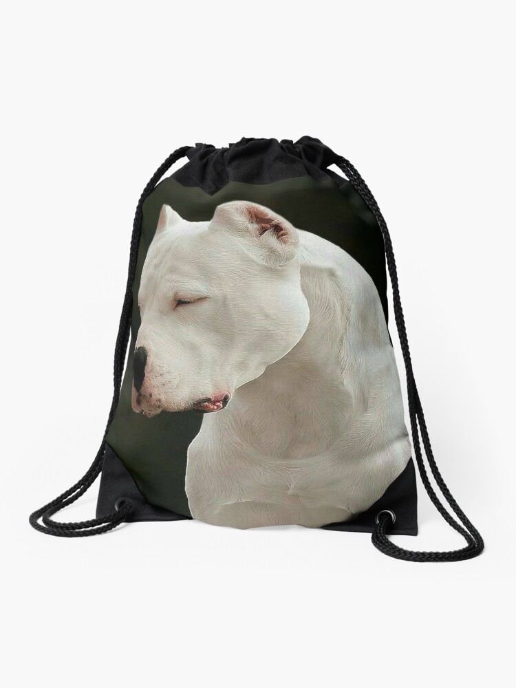 Dogo Argentino Canvas Print by DobermanFans