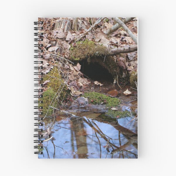 Item preview, A Little Wetland Burrow designed and sold by Theophanes Avery.