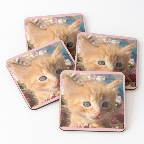 Item preview, Copy of Ginger ragdoll mainecoon baby cat designed and sold by Fluffycat2020.
