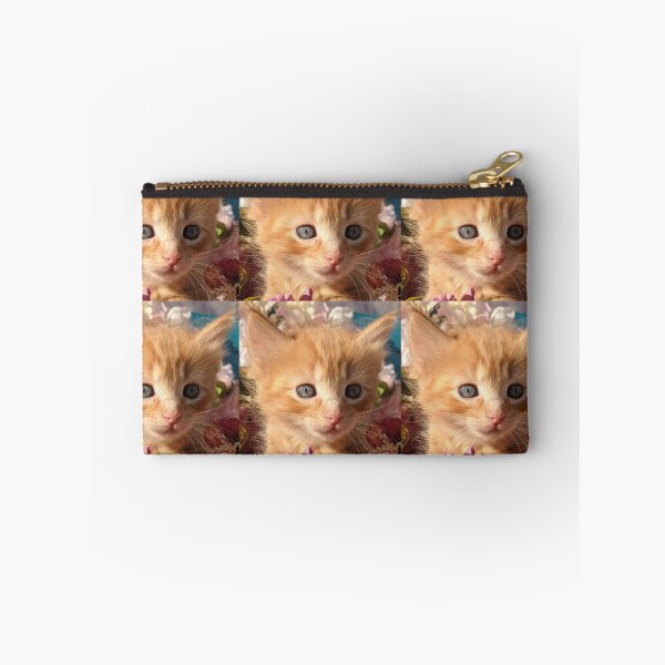 Item preview, Copy of Ginger ragdoll mainecoon baby cat designed and sold by Fluffycat2020.