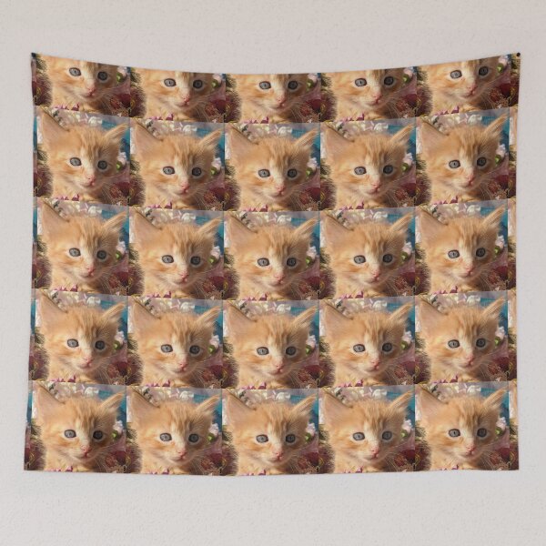 Item preview, Copy of Ginger ragdoll mainecoon baby cat designed and sold by Fluffycat2020.