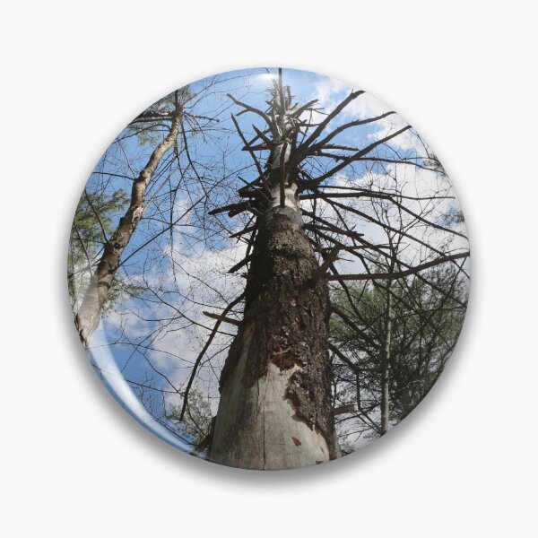 Item preview, Dead Tree- Still Standing Strong! designed and sold by Theophanes Avery.