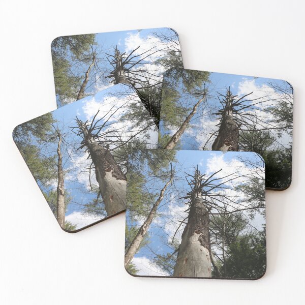 Item preview, Dead Tree- Still Standing Strong! designed and sold by Theophanes Avery.