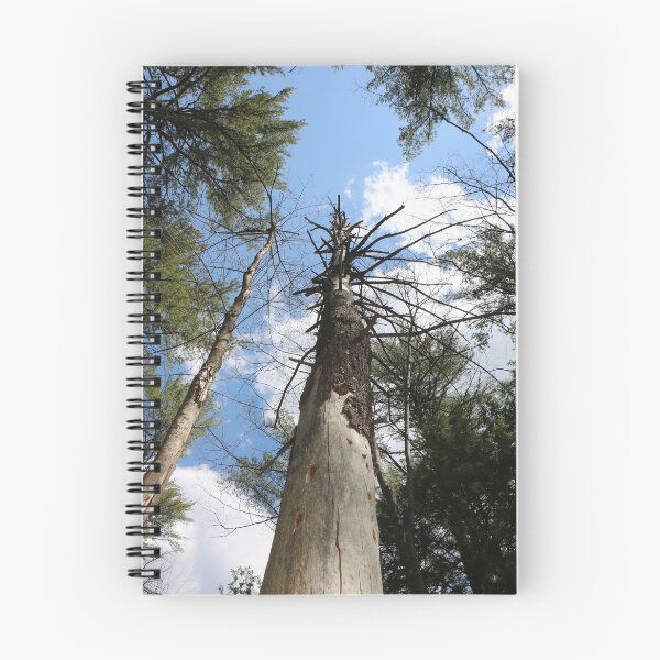 Item preview, Dead Tree- Still Standing Strong! designed and sold by Theophanes Avery.