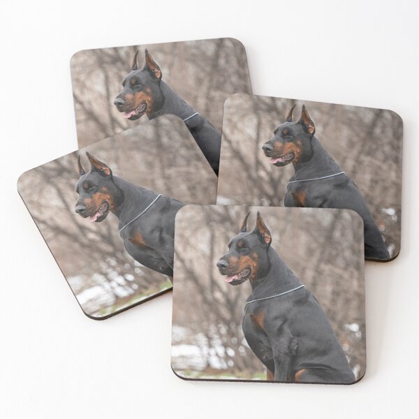 Item preview, Chongar - Best Doberman designed and sold by DobermanFans.