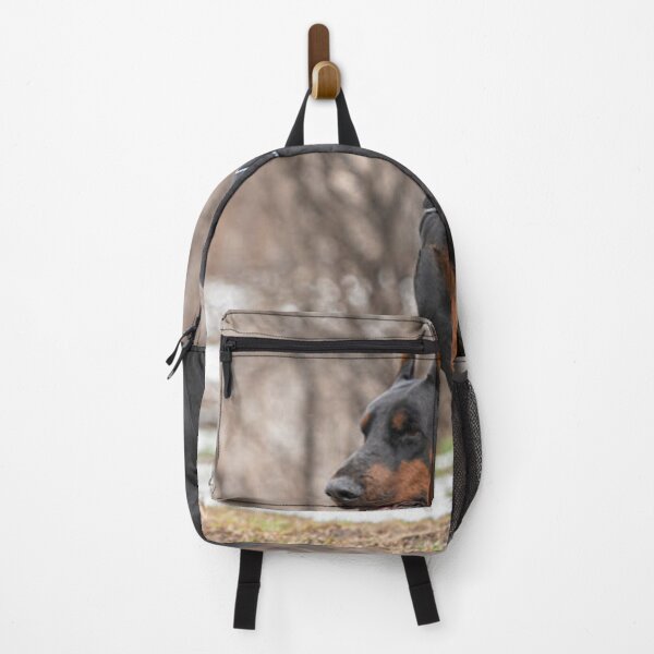 Item preview, Chongar - Best Doberman designed and sold by DobermanFans.