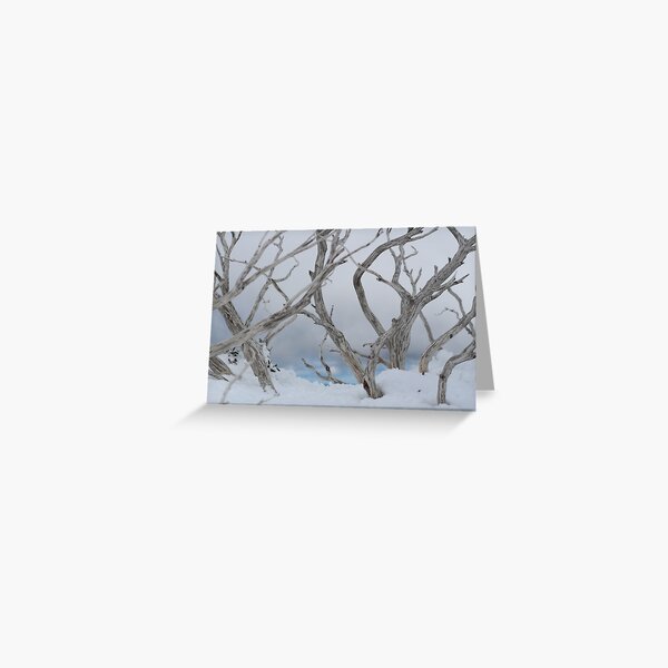 SNOW TREES Greeting Card