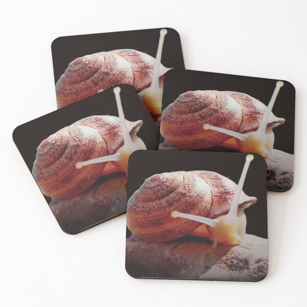 Item preview, Snail designed and sold by mtargui2022.