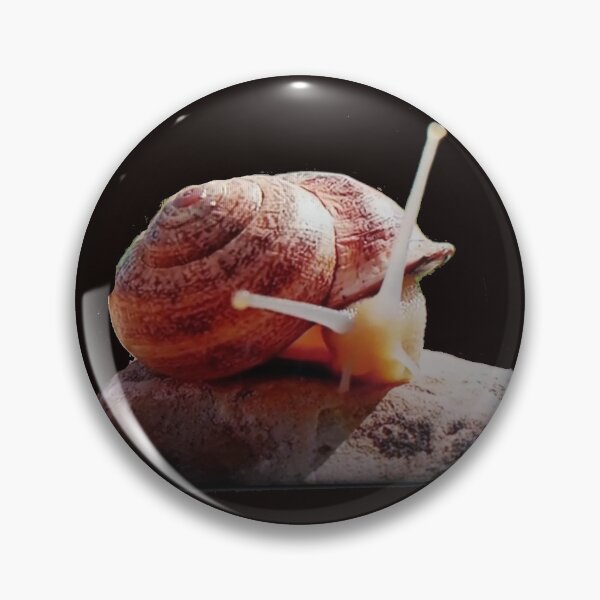 Item preview, Snail designed and sold by mtargui2022.