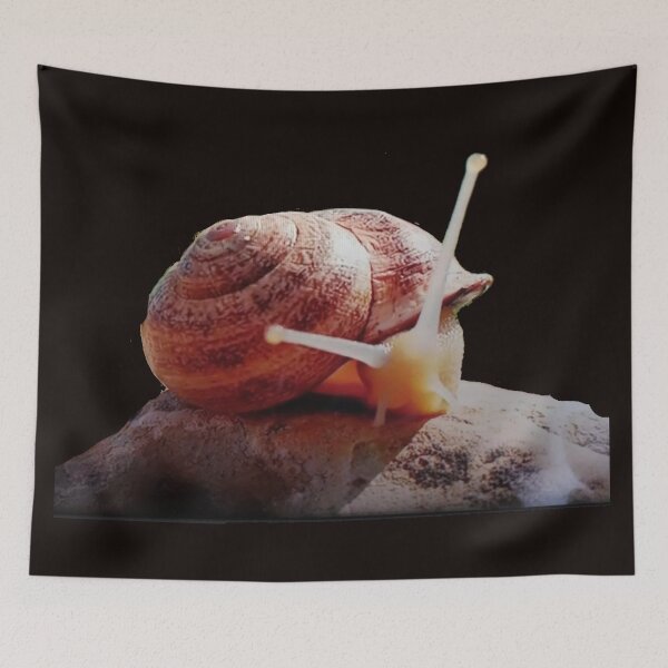 Item preview, Snail designed and sold by mtargui2022.