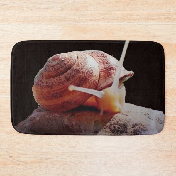 Item preview, Snail designed and sold by mtargui2022.