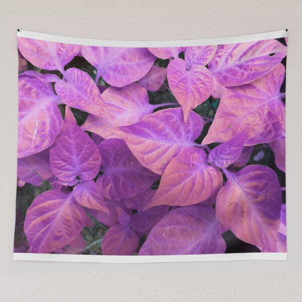 Item preview, Purple Leaf designed and sold by DRB05.