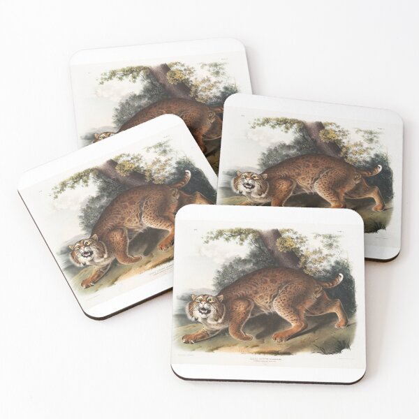 Item preview, John James Audubon Wild Lynx Vintage Illustration designed and sold by EarthArtDesigns.
