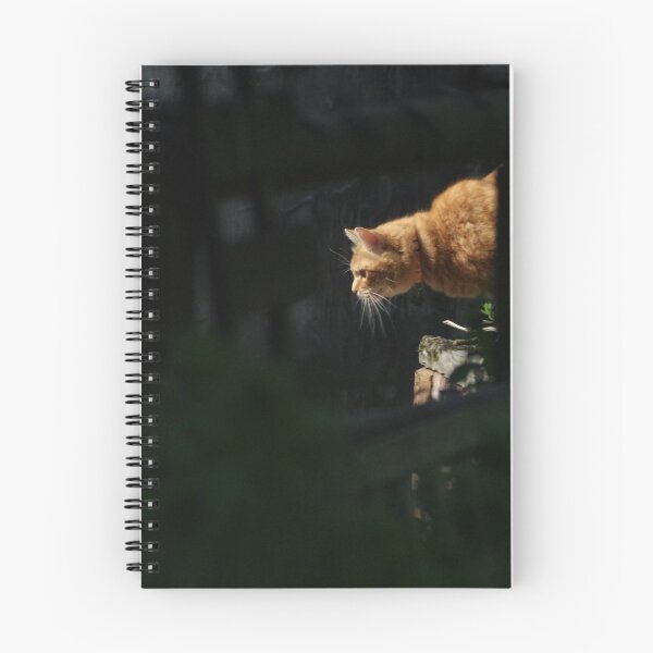 Item preview, Ginger cat hunting in garden designed and sold by turniptowers.
