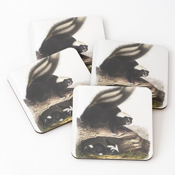 Item preview, John James Audubon Wild Skunk Vintage Illustration designed and sold by EarthArtDesigns.