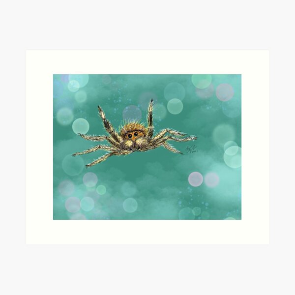 Jumping Spider-Midair! Art Print